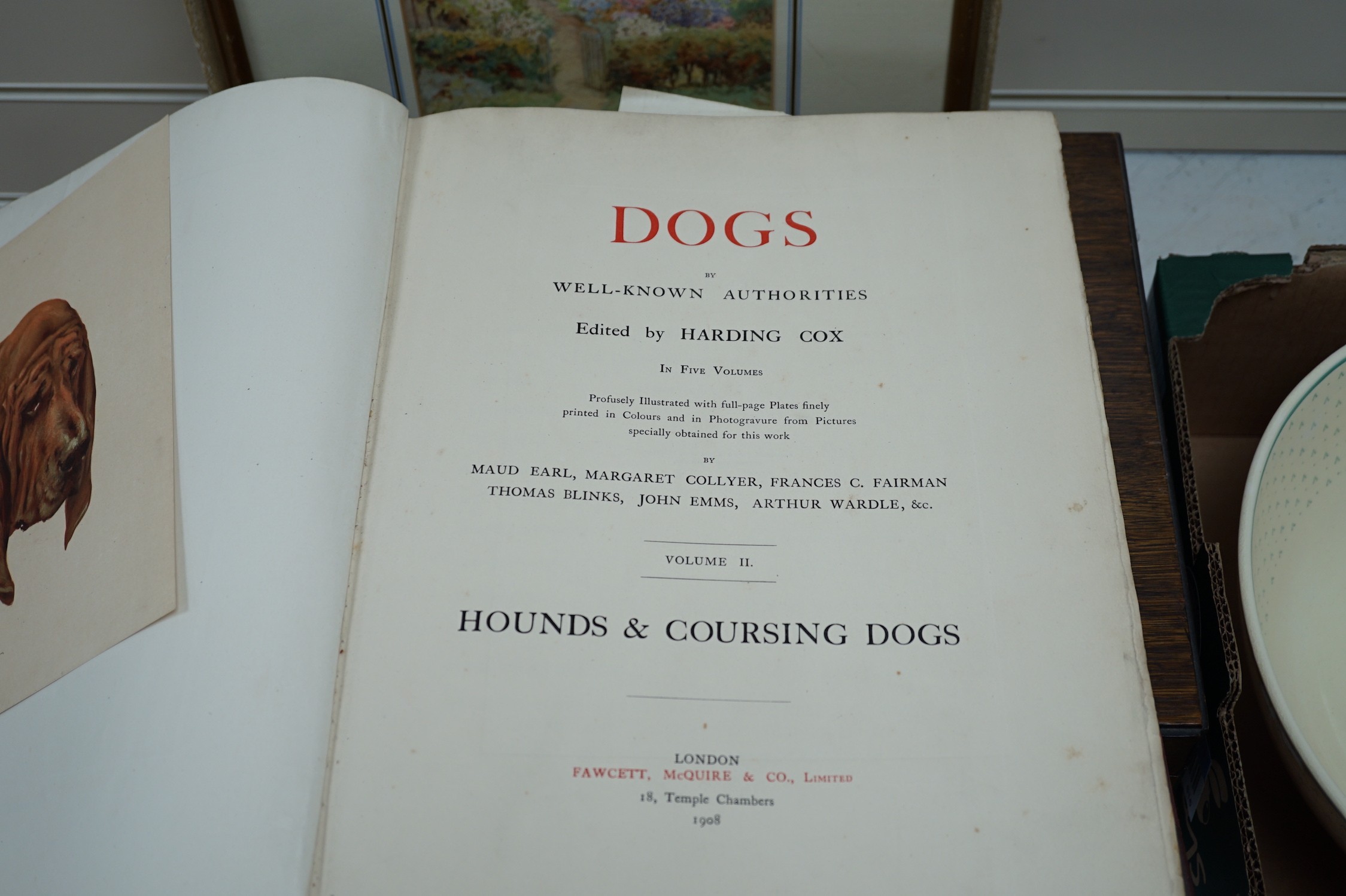 Book: Hounds and Coursing dogs